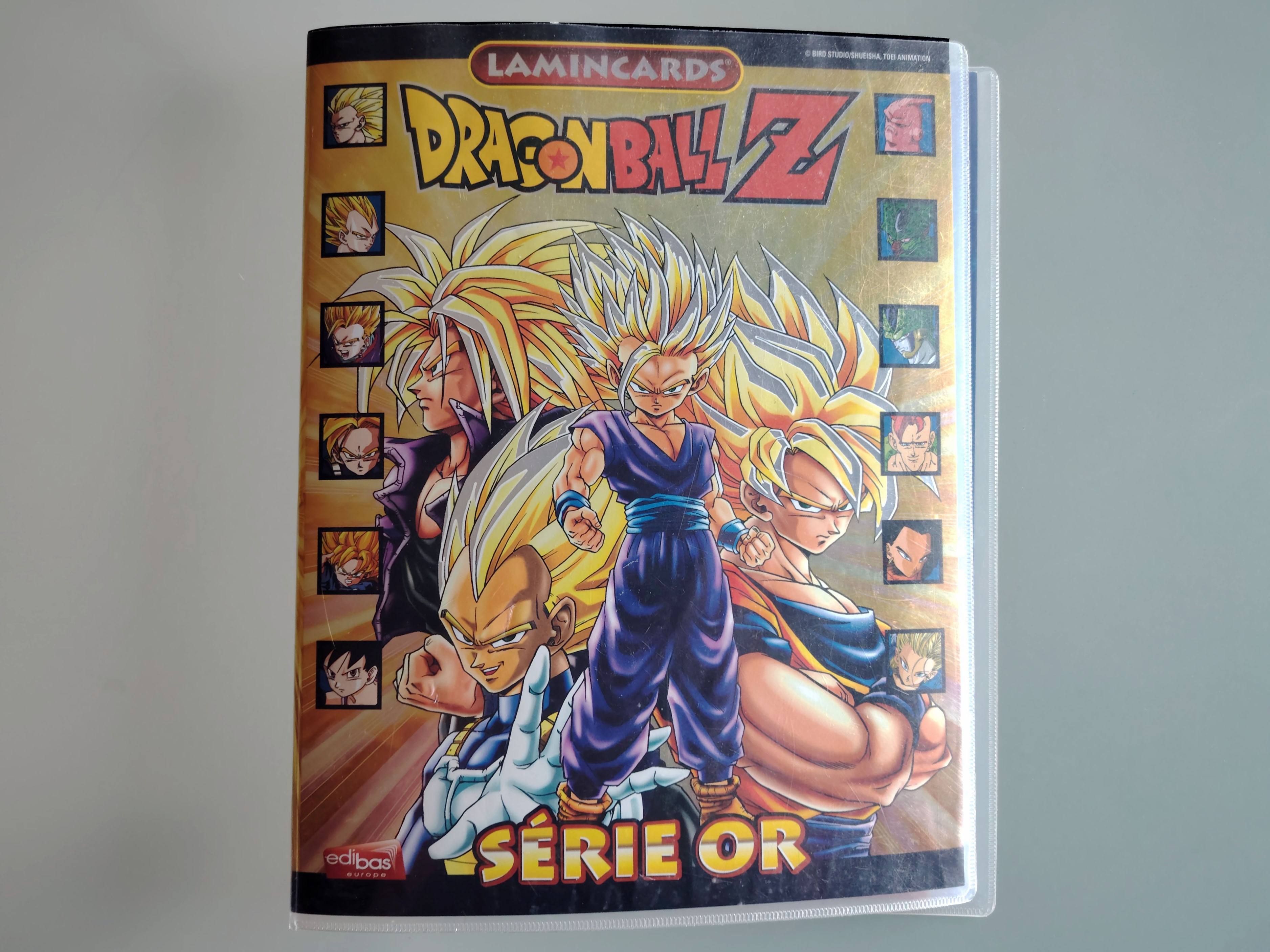 Set of 62 Dragon Ball Z Lamincards Cards with binder (2008-2009)